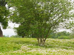 -良渚古城遗址公园