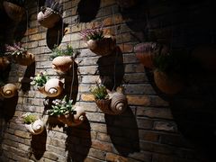 -茅炒屋龙虾·烧烤·湘菜(新河路店)