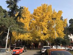 -四川大学(望江校区)