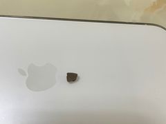 -小苍兰风铃草蛋糕甜品(沈阳店)