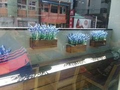 -陶板屋(新北投光明店)