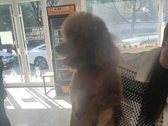 -美联众合动物医院·24h京西诊疗中心
