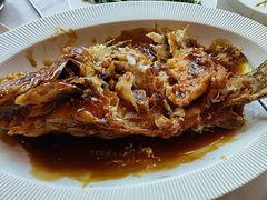 -晋阳春·山西菜·北京烤鸭(交大店)