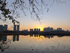 -月湖风景区