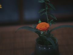 -汉艺唐风茶艺培训(联发华美空间店)