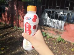 -五月古筝钢琴私塾