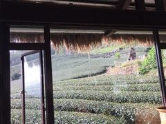 -优游吧斯邹族文化部落