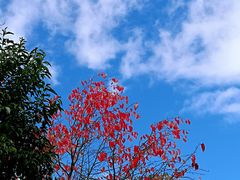 -清溪水库
