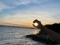 -宝安西湾红树林湿地公园