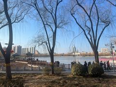 -莲花池公园