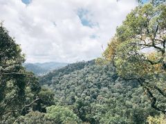-乌鲁淡布隆国家公园