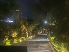 -东澳岛