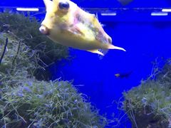 -多彩贵州城极地海洋世界