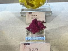 -安徽省地质博物馆