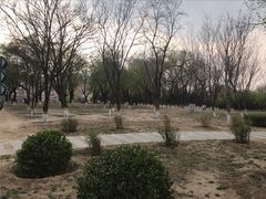 -太阳宫公园