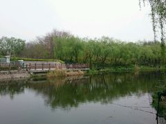 -新江湾城公园