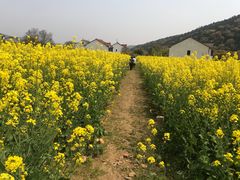 -龙寺生态园