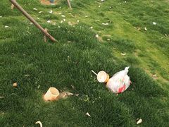 -盘龙城国家考古遗址公园