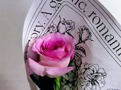 -FEI FEI FLOWER鲜花店·气球派对·宝宝宴布置(虹口德必运动Loft店)