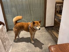 -三目仓咖啡(贤南路店)