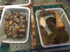 -开海·红岛海鲜虾水饺(石老人店)