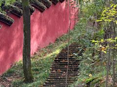 -武侯墓风景区