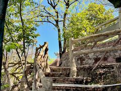 -梅州天地人花园酒店(梅县人民广场店)