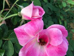 -人民公园(罗湖区)