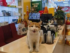 -夏茅维记饭店