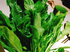 -一叶一世界•素食餐厅(环球中心店)