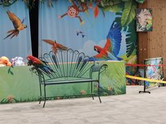 -南宫五洲植物乐园