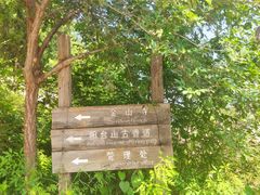 -阳台山自然风景区