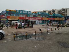 -中环花鸟鱼虫市场