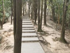 -火炉山森林公园