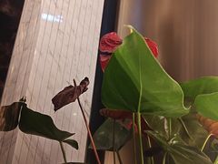 -唐宫足道·SPA·住宿24H会所(木渎店)