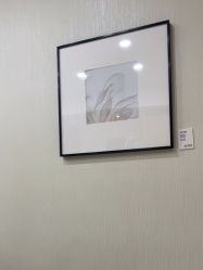 -智美品质医美