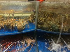 -海景壹号大酒店(滨湖店)