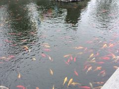 iphone_upload_pic-会龙寺