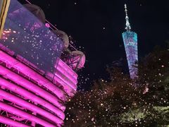 -海心沙亚运公园