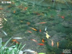 DSC00387-绿色时代大酒店