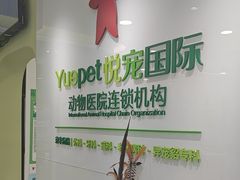 -悦宠动物医院(京丰分院)