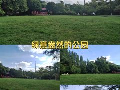 -花溪公园