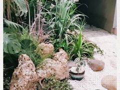 -茶颜悦色(吾悦广场六号门店)