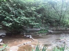 -白水寺森林公园