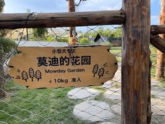 -爪吧宠物乐园·宠物泳池(温榆河示范区店)