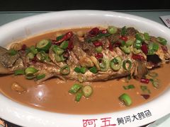 -阿五黄河大鲤鱼(纬三路店)