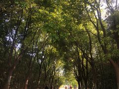 -祥源·阜阳生态乐园