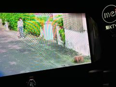 -魅KTV·AI辅唱(人民广场旗舰店)