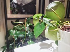 -一尺花园(安和花园店)