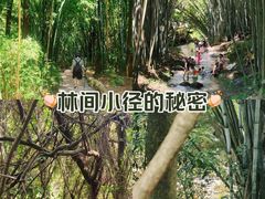 -黄埔油麻山森林公园